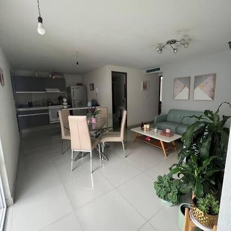Departamento En Coyoacan Città del Messico Esterno foto